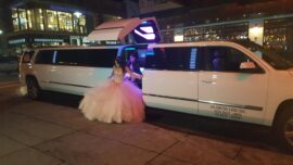 vLimo service near Port Chester NY